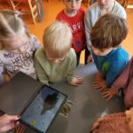 messenger creation f56e6ed6 34bf 4afa a99b 94fc3cc5a203