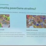 Matematika prasideda žaismėje – nuo mažų atradimų iki didelių pažinimų 1000074921