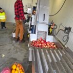 „Skruzdėliukų“ grupės pažintinė-edukacinė išvyka į sulčių spaudyklą 26812
