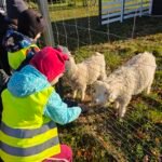 „Lašelių“ grupės vaikų pažintis su gyvūnėliais ir gamta 37629