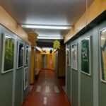 Rudeninių spalvų ir kūrybos džiaugsmas parodoje „Rudens lapai“ lapai (15)
